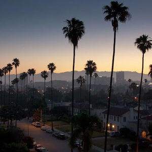 Meet your Posher, Phoebe